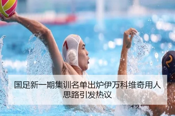 国足新一期集训名单出炉伊万科维奇用人思路引发热议